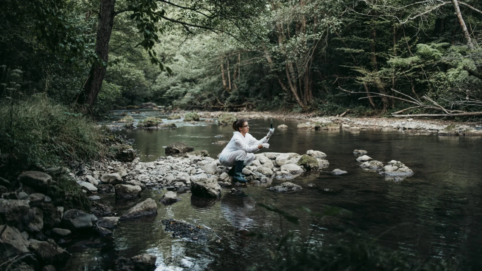 Une personne portant une blouse blanche est accroupie au bord d'une rivière rocheuse, prélevant un échantillon d'eau à l'aide d'une fiole, entourée d'arbres et de végétation verdoyants.