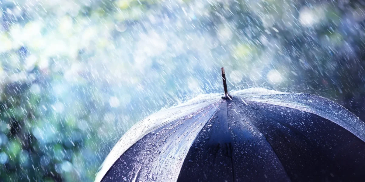 Gros plan sur un parapluie noir couvert de gouttes de pluie, avec une pluie battante et un arrière-plan flou et verdâtre.