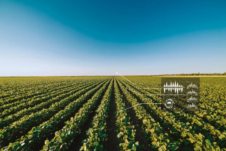 Un vaste champ de culture vert s'étend au loin sous un ciel bleu clair, avec des graphiques de données numériques superposés pour illustrer la technologie agricole et la surveillance des cultures.
